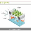 홈톡스닷컴 이미지