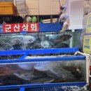 중대상회 | [노량진맛집] 노량진 방어, 군산상회 방어회 후기｜제철 방어의 진짜 맛, 재방문하고 싶은 이유