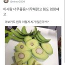 한집 이미지