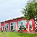 성화사슴농장 | 진천 에코팜 사슴 먹이주기 체험 아이랑 가볼만한 곳