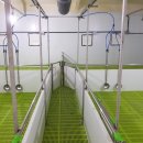 화진농장 이미지