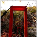 유치자연휴양림 이미지