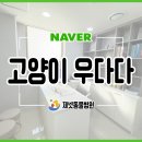 부산동물병원 제넷 이미지