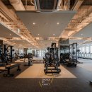 초이스바이반트 이미지