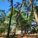 검산근린공원 이미지