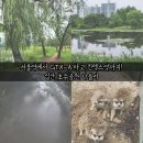 한울농장 | 🚄서울에서 일산까지 단 16분! GTX-A 타고 다녀온 일산호수공원 나들이