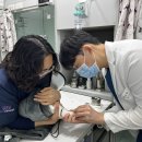 동탄원더스동물의료센터 이미지