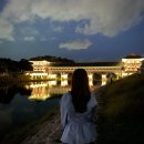 경주 충효 피자 맛집 추천: 피피노피자 충효점 - 포장하면 10%할인해주는 경주 피자 추천💐