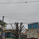 성수일로 34 이미지