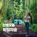 숲마을농원 | 제주 안돌오름 비밀의숲 주차 입장료 송당무끈모루 동쪽 여행
