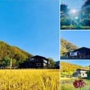 주식회사 오브로 이미지