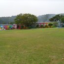 애월읍 하가리..작은 학교-더럭분교, 물양귀비 이미지