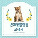 반려동물행동교정사 이미지