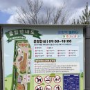 땀범벅놀이터 | 세종 땀범벅 놀이터 후기! 아이와 함께 즐기는 최고의 야외 놀이터