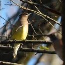 뉴-한일마트 이미지