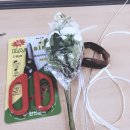 플로리스트혜영 | 상상유니브 플로리스트 1기 클래스 후기