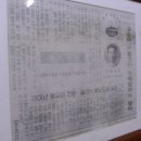 카카오 이미지