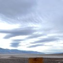 미국 서부 데스밸리(Death Valley) 1일차 - 배드워터베이신, 아티스트 팔레트, 메스키트 플랫 샌드 듄스