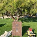 풍경운동장 | [경기도 군포] 소심한 강아지를 위한 공간이 따로 있는 강아지 운동장 비숲 애견카페 방문 후기