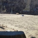 감고을펜션 이미지