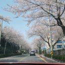 서ㆍ호근동 이미지