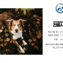 인덕원동물의료센터 이미지