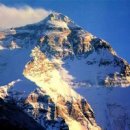 산 카카오 검색결과