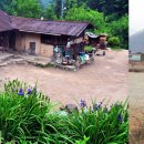 어둔(여) 이미지