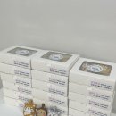 충주여자고등학교 이미지