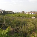 유정농원 이미지