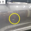관악최고덴트집 이미지