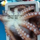피노피노펜션 이미지