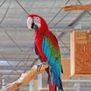 순호농장 이미지