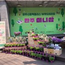 완주신활력플러스추진단 이미지