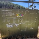 더원부동산공인중개사사무소 | 무봉산 자연휴양림 바베큐장을 소개합니다.