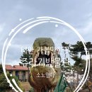 태안 안면도 아이와 가볼만한곳 &#34;쥬라기 박물관&#34; 주차 입장료 내돈내산 후기