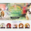 디자인35 이미지