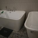 숲속세신 이미지