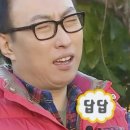 여행사 없는 신혼여행: 나라부터 정하기
