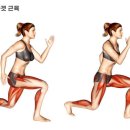 원트레이닝센터 이미지