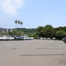 백차종농장 | 가족 여행용 제주렌트카 종류! 예약 전 꼭 보고 가세요 – 사이트 추천