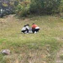 서리태피자 Daum카페