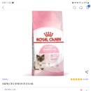 펫푸드 산업 관심종목_오에스피 분석