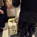 제주항공 게이트백 비용 및 이용 방법 후기|인천공항 면세점 캐리어 구매 주의사항 정리