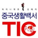 위즈차이나