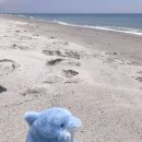 묵호여행
