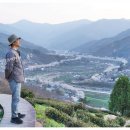정금자동차정비 | 해질무렵 하동십리벚꽃길 뷰의 하동 녹차밭 다원 정금차밭