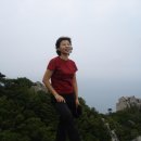 우향 이미지