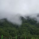 별동자리 이미지