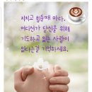 대안생활 이미지